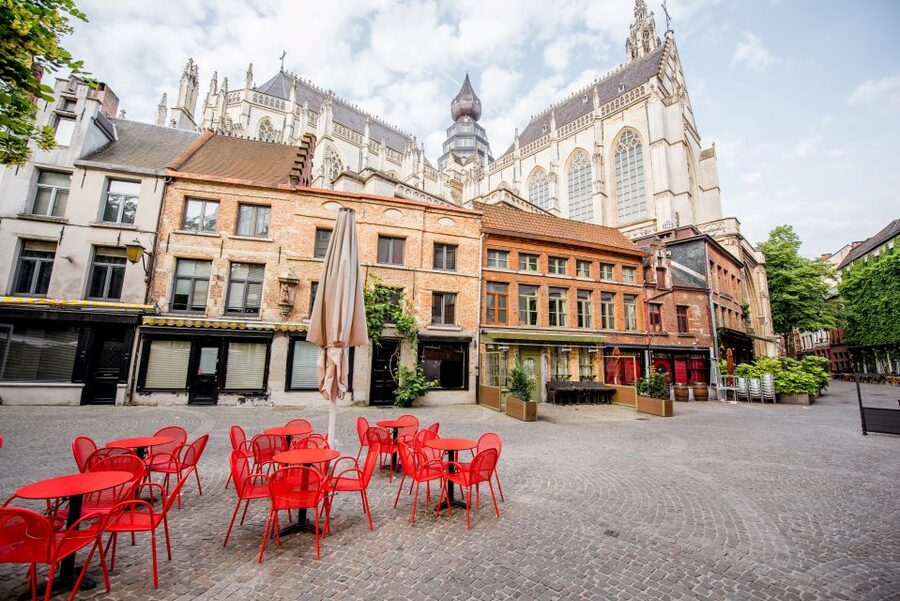 Antwerp: Express Walk with a Local in 60 minutes - Key points at a glance