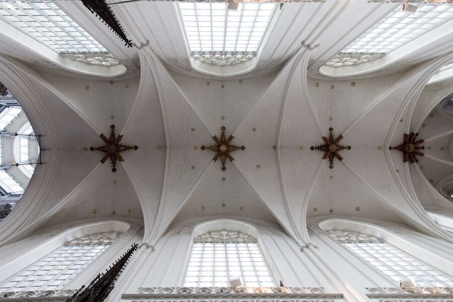 Antwerp: Express Walk with a Local in 60 minutes - A fast first look at Antwerp