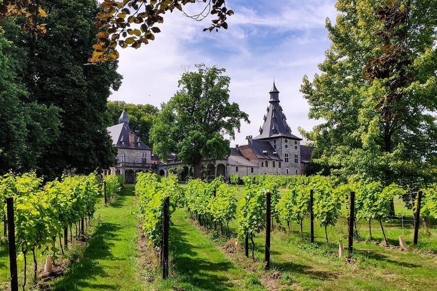 Bioul (near Dinant) : Château de Bioul Tour and Wine Tasting - Key points to know before you go