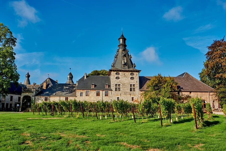 Bioul (near Dinant) : Château de Bioul Tour and Wine Tasting - The centenary park and estate grounds