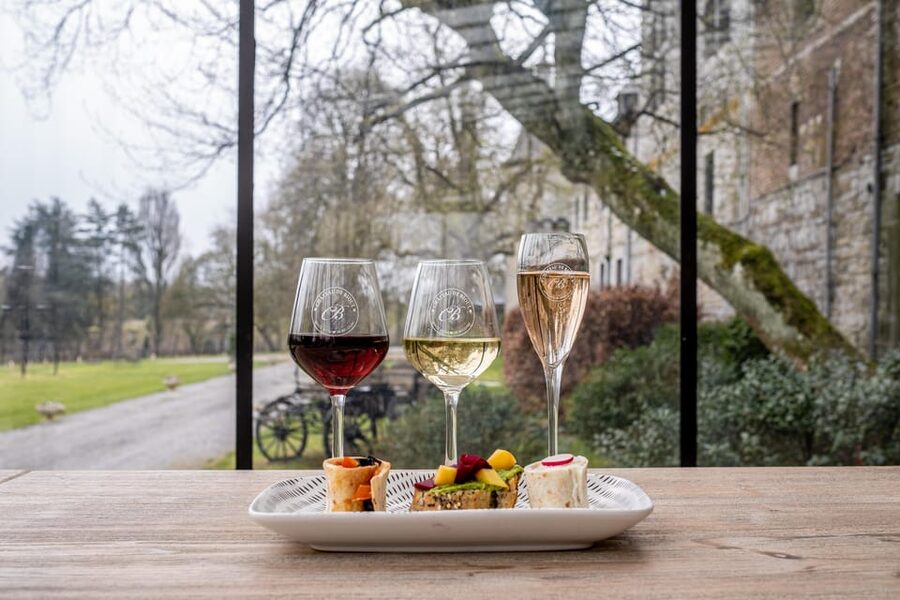 Bioul (near Dinant) : Château de Bioul Tour and Wine Tasting - Planning your visit near Dinant