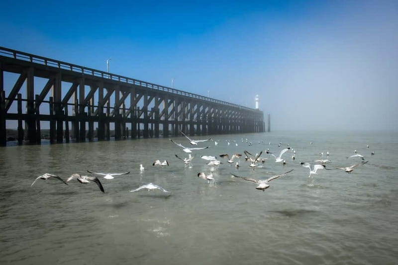 Blankenberge: Offshore Wind Farm Tour by Boat - Is $96 a fair price?