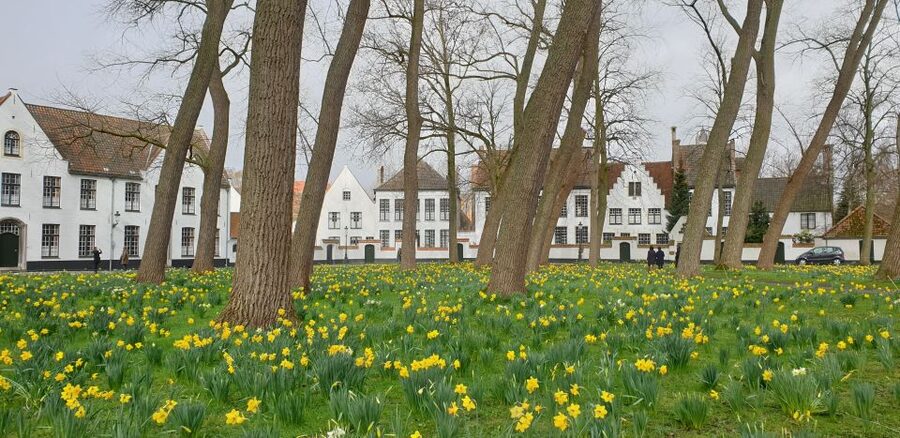 Bruges: 2.5-Hr Walking Tour from train station to Markt - Starting at Bargeplein and finding your bearings