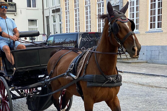 Bruges by a Local: Exciting Stories, Mysteries, People and Choco - Starting in Markt, Brugess grand stage