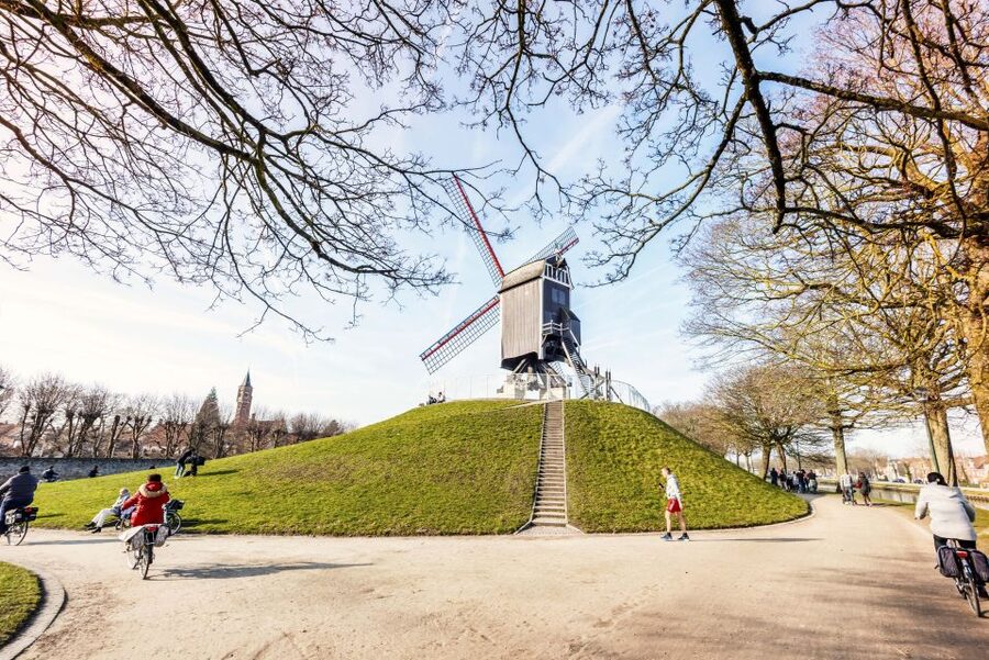 Bruges: Musea Brugge Card with Entry to 11 Museums - Start at the Belfry, Then Look Across Medieval Bruges