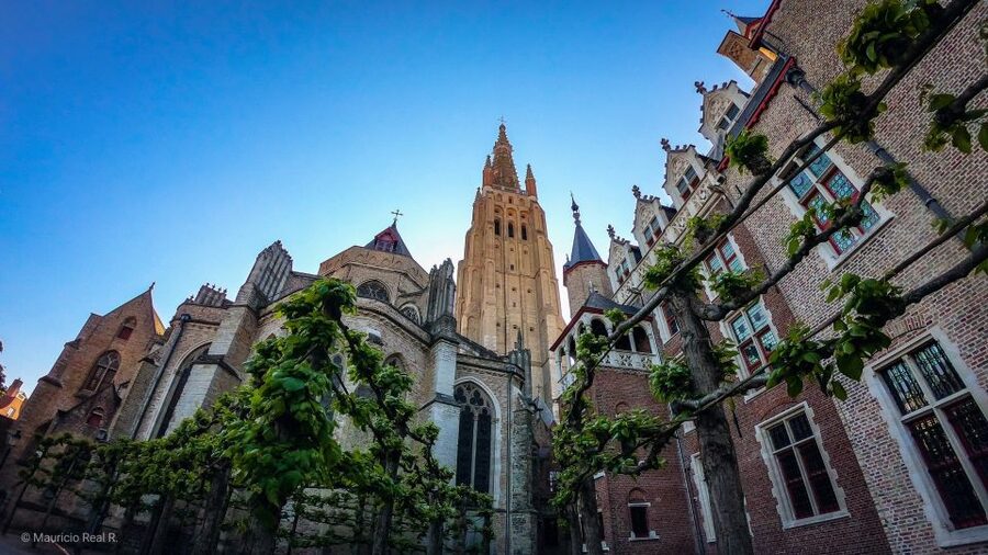 Bruges: Private Historical Highlights Walking Tour - Minnewater, the Beguinage, and a quieter side of Bruges