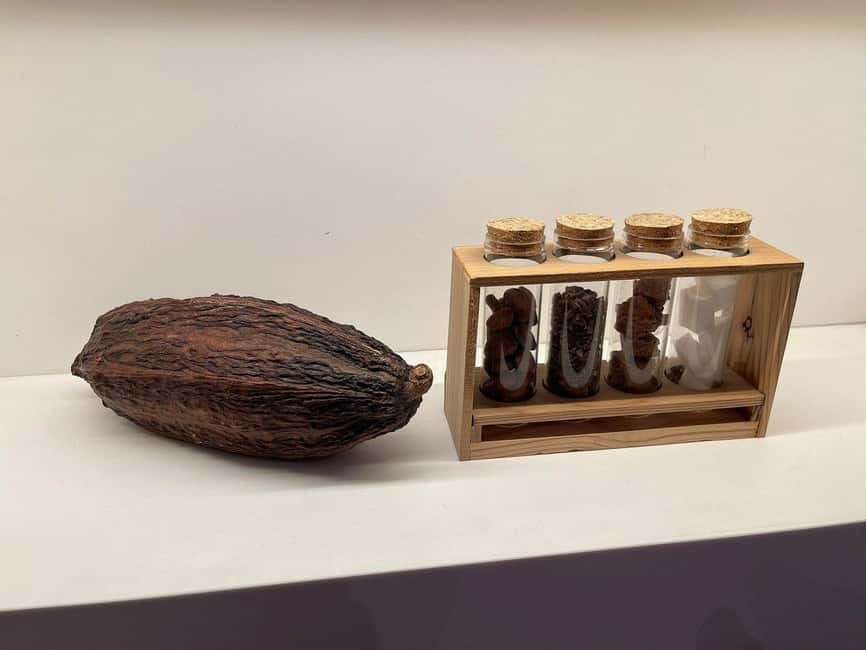 Brussels: Chocolate Appreciation and Tasting Walking Tour - The Royal Galleries to Grand Place