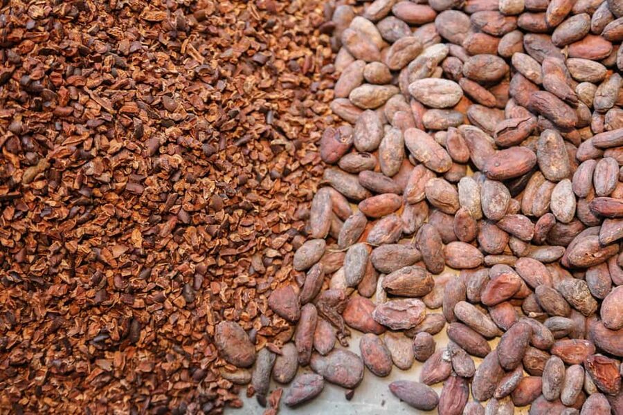 Brussels: Chocolate Appreciation and Tasting Walking Tour - Who should book this chocolate walk?