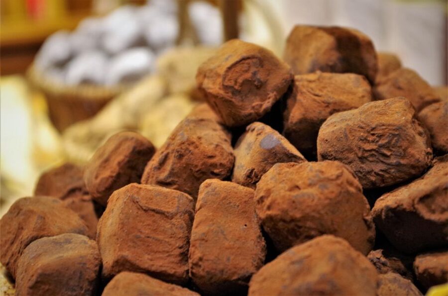 Brussels: Chocolate Workshop and Guided Walking Tour - Walking comfort, timing, and group fit
