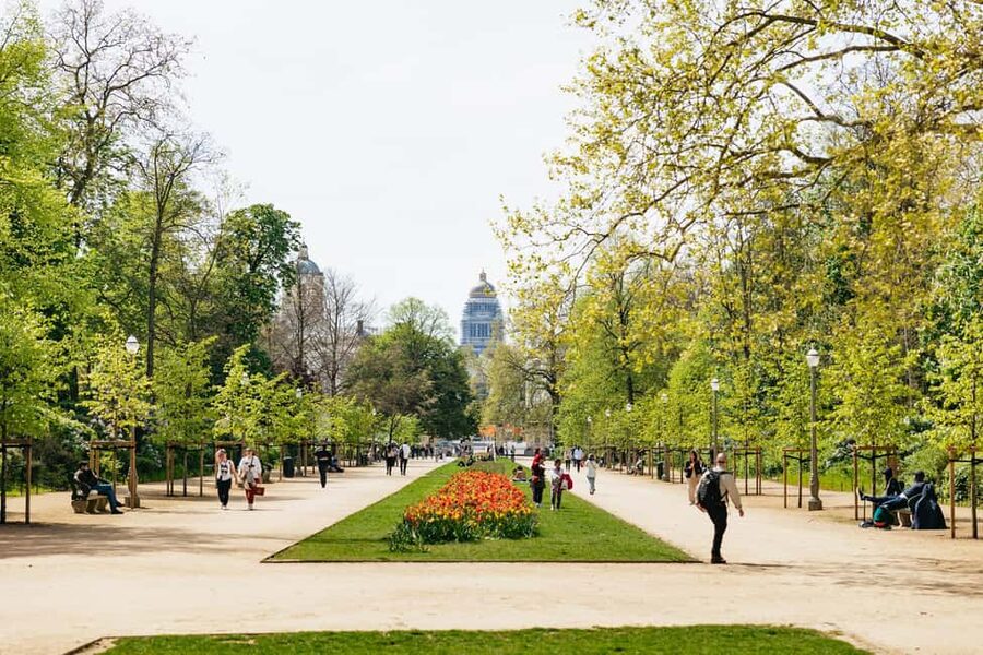 Brussels: City Highlights and Hidden Gems Bike Tour - A café pause with a local feel