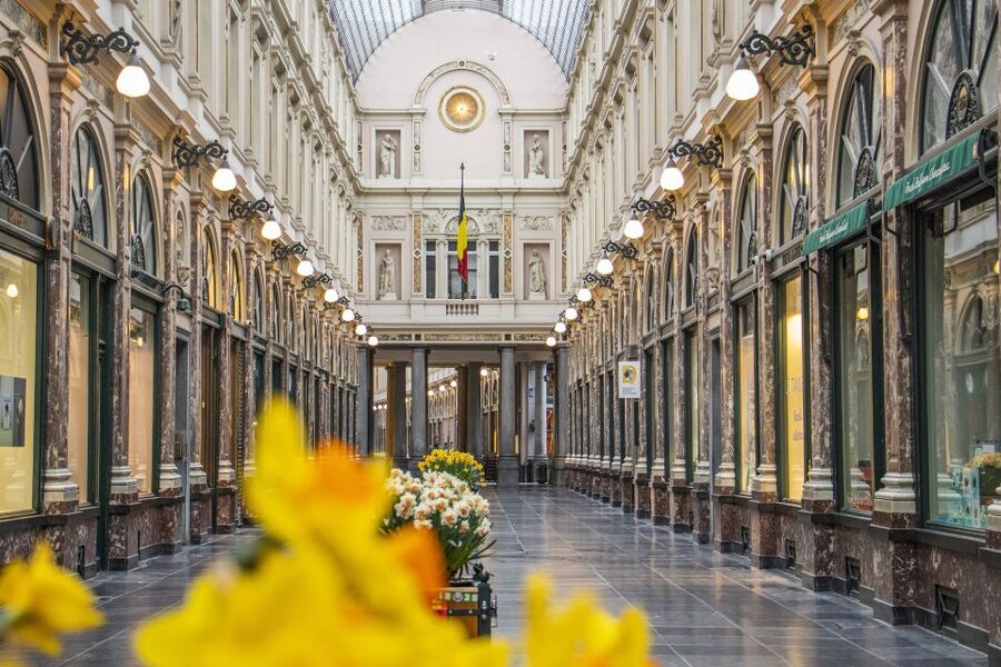 Brussels: Express Walk with a Local in 60 minutes - Meeting at YellowKorner and getting started