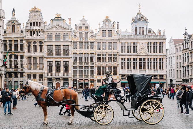 Brussels Half-Day Tour with a Local Guide – Private & Custom - Starting near Grand Place