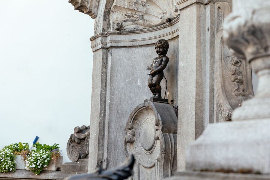 Brussels: Private Tour w/ Locals – Highlights & Hidden Gems - Pace, communication, and mobility