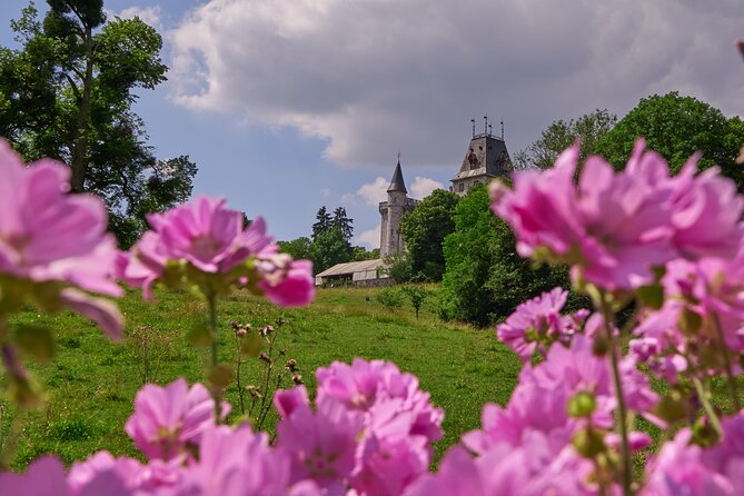Castle Guided Tour (English) - Is $10.13 good value?