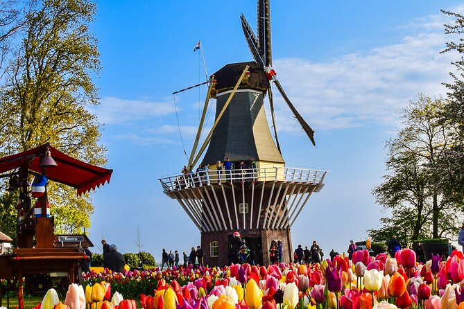 Delft and Keukenhof Gardens Tour from Brussels - Starting in Brussels at 8:00 a.m.