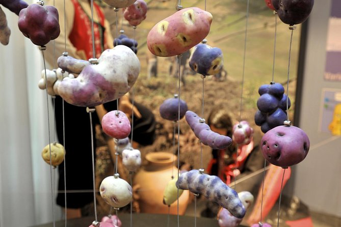 Frietmuseum Entrance Ticket - A potato museum in Bruges? It makes more sense than you think