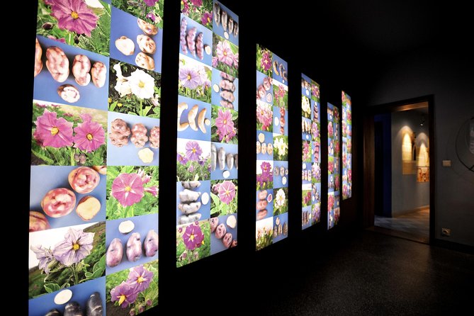 Frietmuseum Entrance Ticket - Is it good for children?