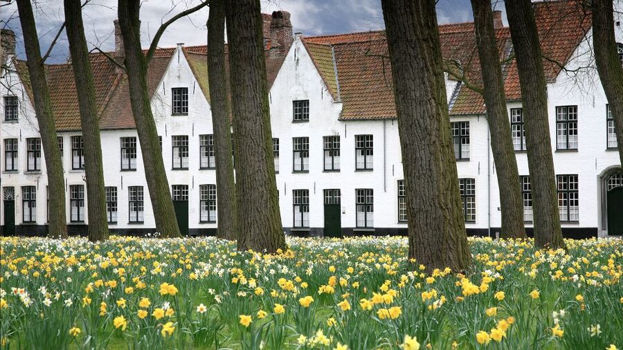From Amsterdam: Bruges Day Trip in English with Boat Option - Three free hours in Bruges