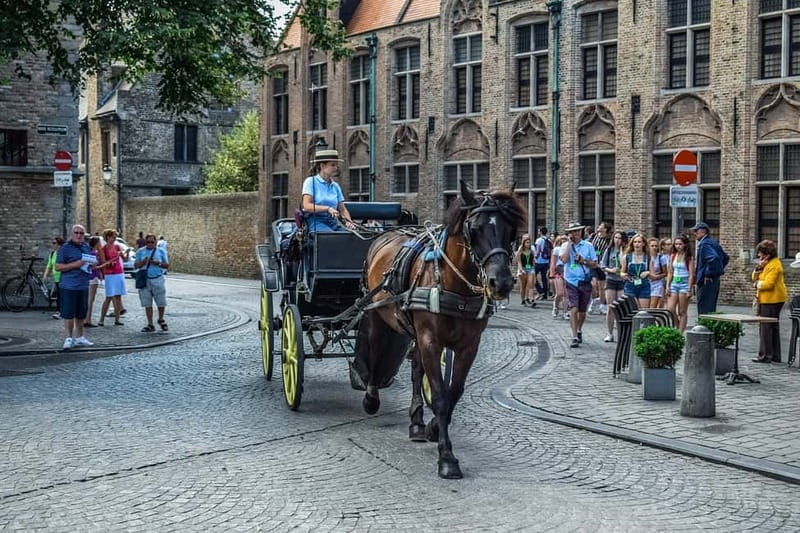 From Amsterdam: Private Sightseeing Tour to Bruges - Key points to know before booking