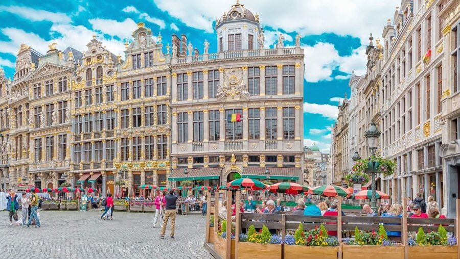 From Amsterdam: Private Sightseeing Tour to Brussels - Royal Palace, Mini-Europe, and shopping choices