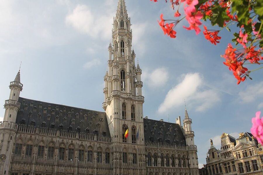From Amsterdam: Private Sightseeing Trip to Brussels - Who should book this Brussels day trip