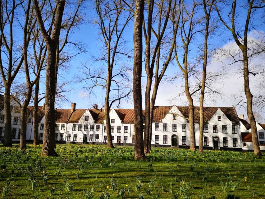 From Brussels: Bruges Day Trip with Boat Tour Option (ES) - Who should book this Bruges day trip?