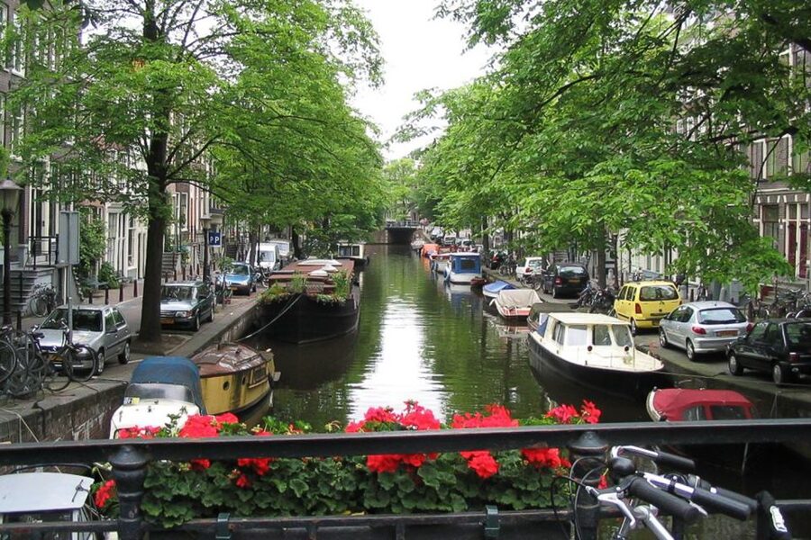 From Brussels: Cheese, Clogs & Windmills Amsterdam Day Trip - Should you book it?