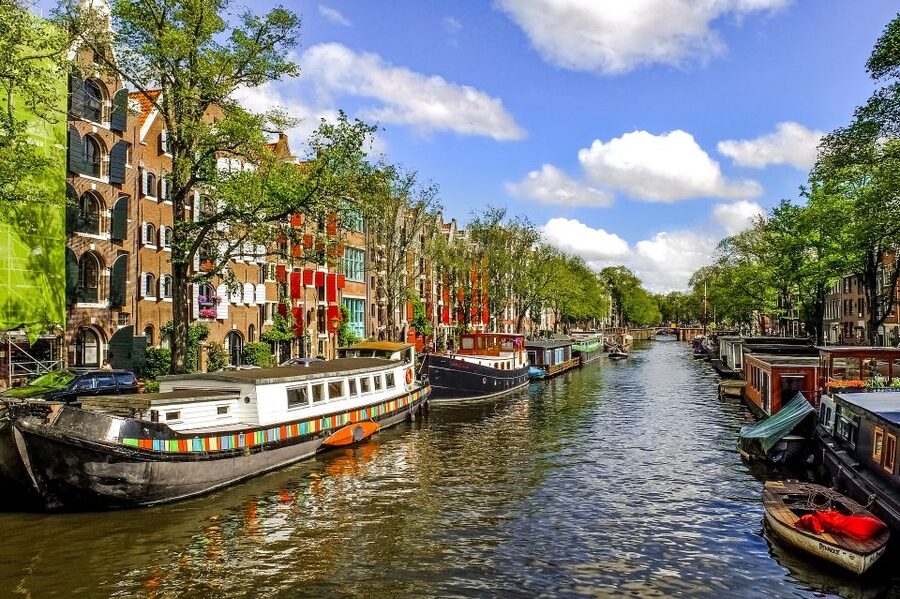 From Brussels: Cheese, Clogs & Windmills Amsterdam Day Trip - Why this trip works for a quick taste of the Netherlands