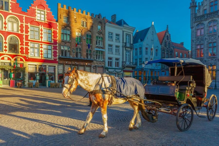 From Paris: Day Trip to Bruges with Optional Seasonal Cruise - Canals, Bridges, and the Seasonal Boat Ride