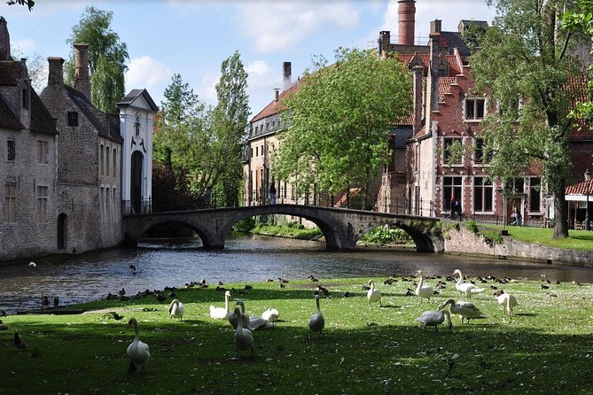 Guided tour of Bruges - Guilds, bridges, and the best canal views