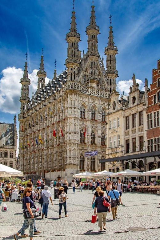 Historical Leuven: Private Walking Tour with a Local Guide - Why a private group may be worth $299