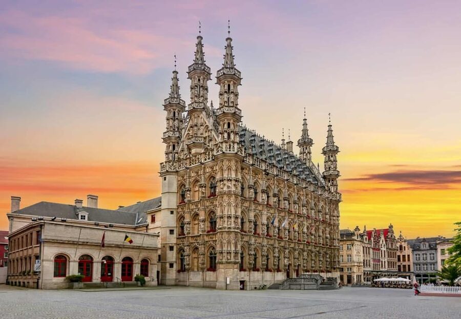 Historical Leuven: Private Walking Tour with a Local Guide - Cancellation and booking flexibility