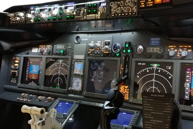 Landed On Time 60 min. Max 1 Person - Taking the Boeing 737 Captain’s Seat