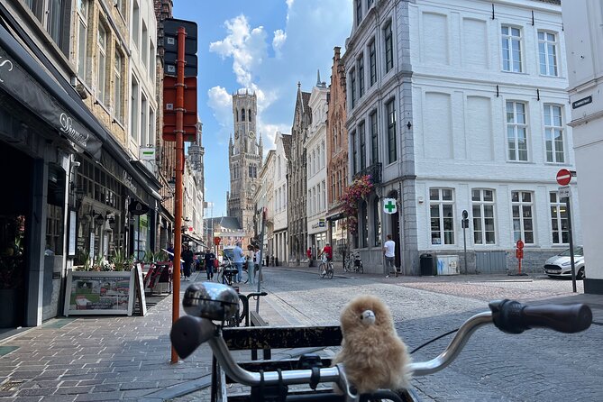 Private Full-Day Tour Bruges & Ghent from Brussels with tastings - Why the private car may be worth the price