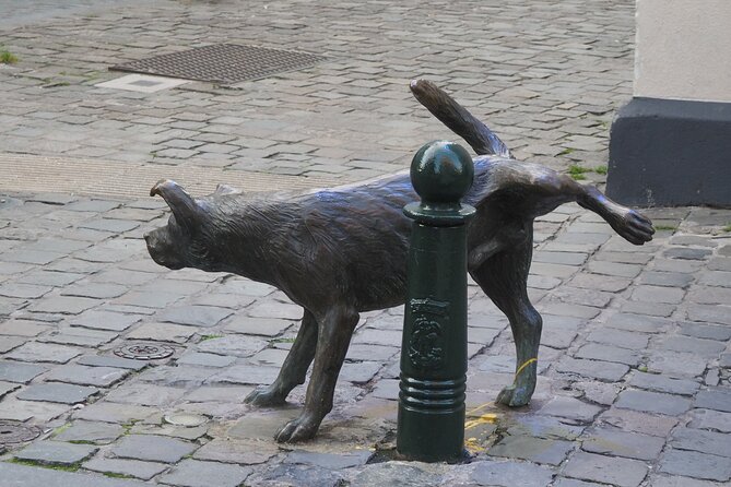 Private Half Day Tour of Brussels - A private format that actually changes the experience
