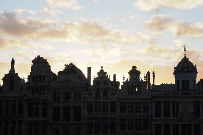 Private Half Day Tour of Brussels - What the guide brings to the walk