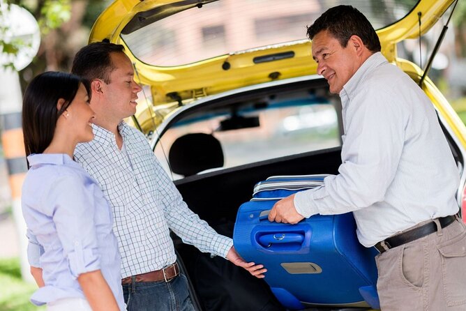 Private One-way Brussels Airport Transfer To Brussels - Who will get the most from this transfer?