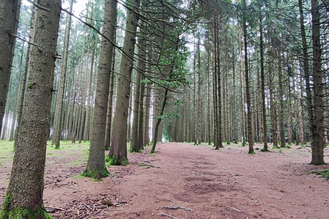 The Battle of the Bulge Experience - A day tour from Brussels - Celles and the German advance