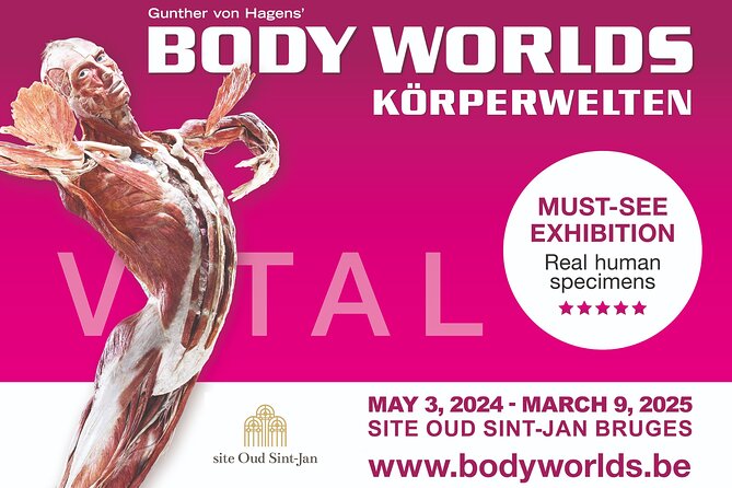 Ticket Expo Body Worlds in Bruges, Belgium - Body Worlds inside Bruges’ former city hospital