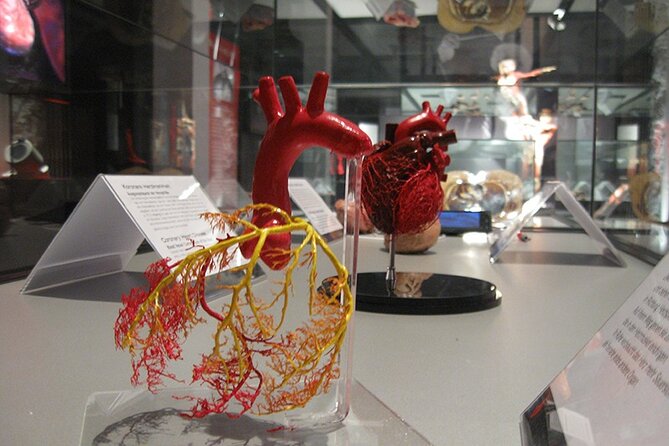 Ticket Expo Body Worlds in Bruges, Belgium - Why the science feels accessible