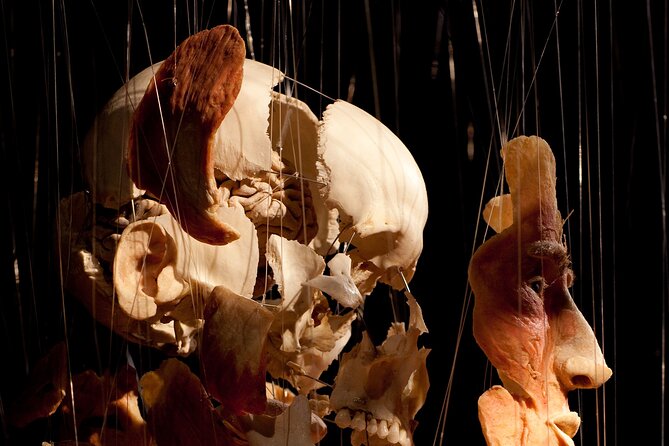 Ticket Expo Body Worlds in Bruges, Belgium - How much time should you allow?